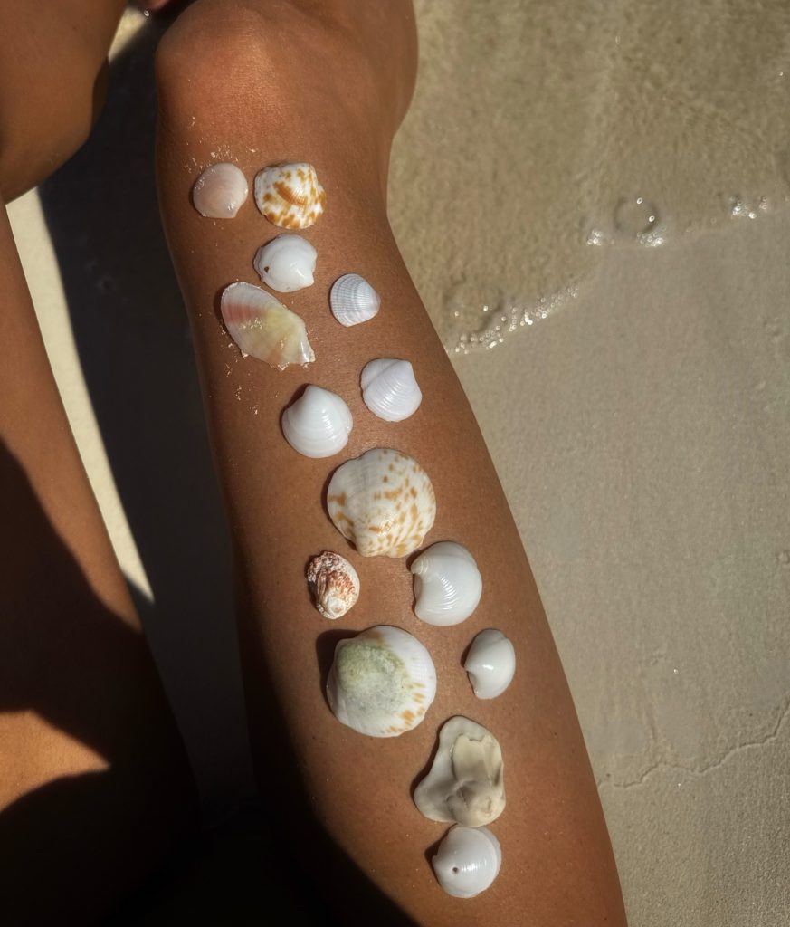 Sea-Shells-in Rosewood-Mayakoba-