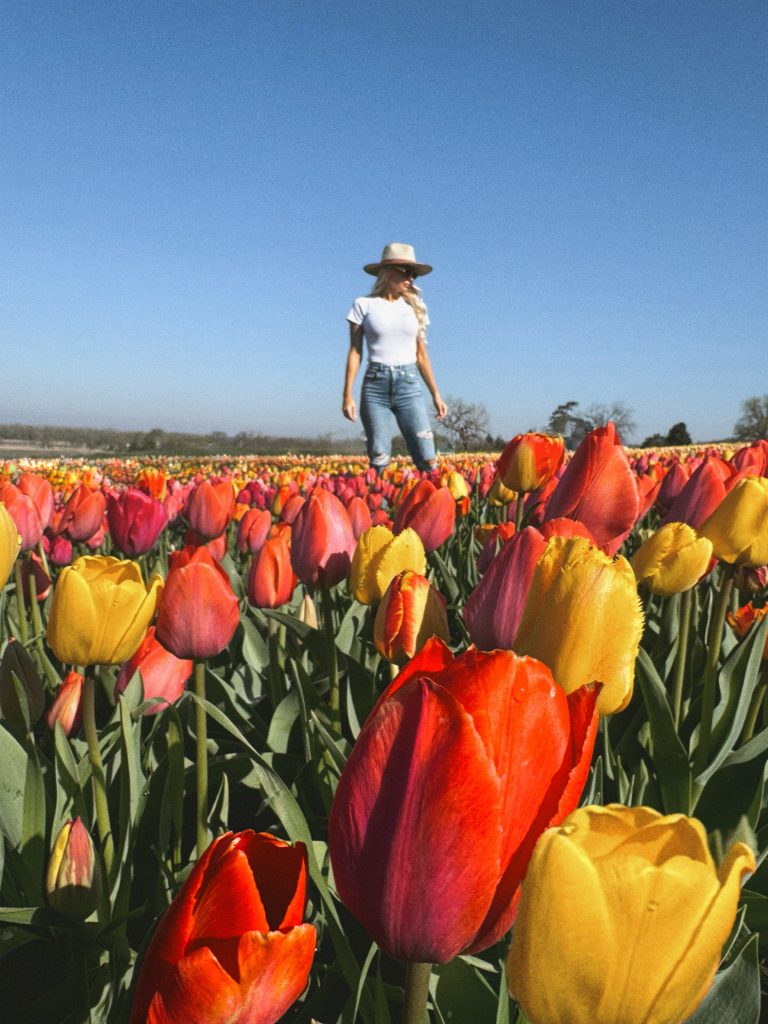 Teresa-in-tulip-field